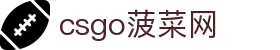 csgo菠菜网(中国区)有限公司官网